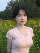 去哪儿平台“”机票搜刮量环比增加四